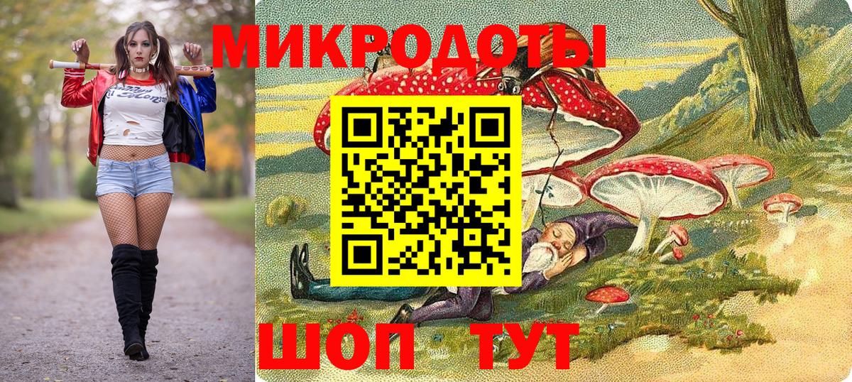 Галлюциногенные грибы Psilocybine cubensis Владикавказ
