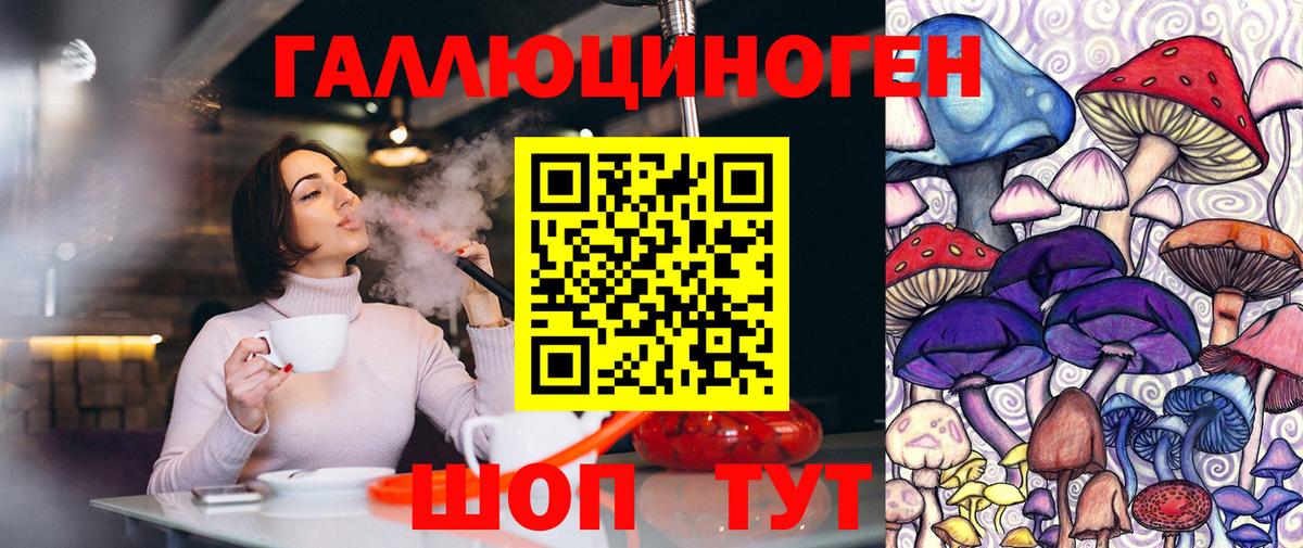Псилоцибиновые грибы Psilocybe  Вход с VPN  Владикавказ  Псилоцибиновые грибы Cubensis 
